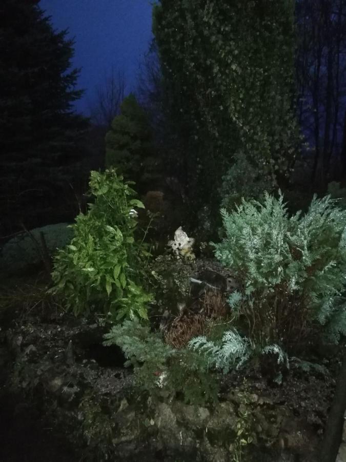 Holiday Home Tin Ogulin Zewnętrze zdjęcie